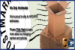 Shipping Policies